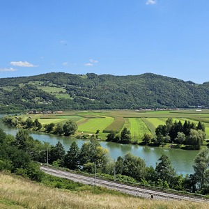 Still the Sava