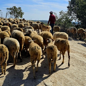 Traffic jam